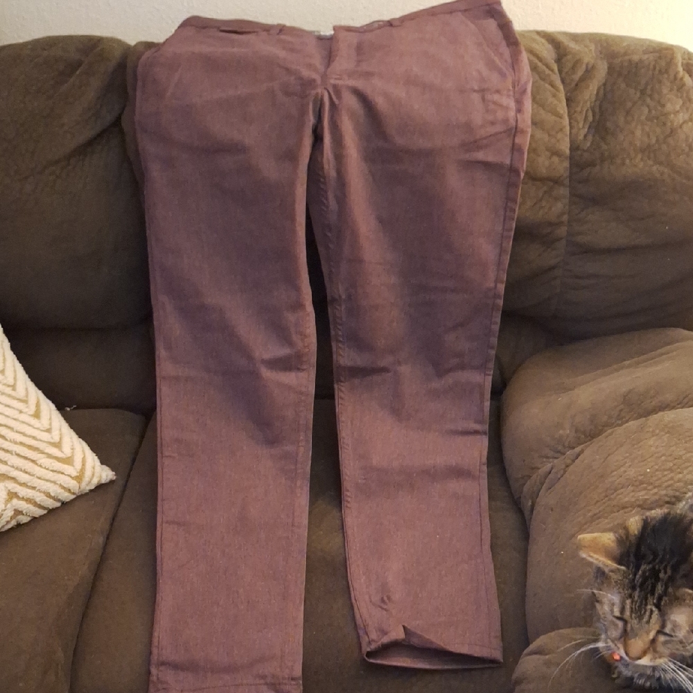Zara Women's Mauve Skinny Jeans